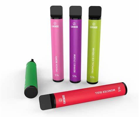 Streamlining Your Vaping Experience: A Review of Disposable Vape Bundles